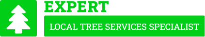 Hamilton Tree Removal - Tree Removal Hamilton